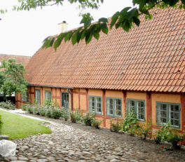 oplevelser på djursland