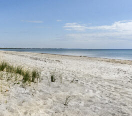 oplevelser i marielyst