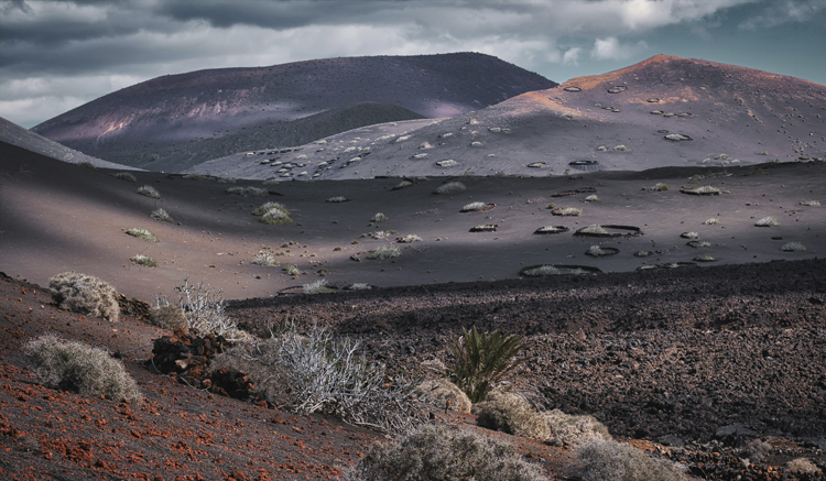 lanzarote rejseguide