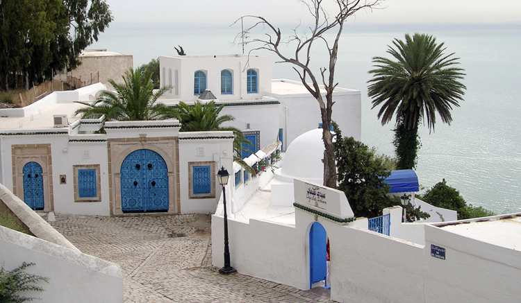 tunis rejseguide